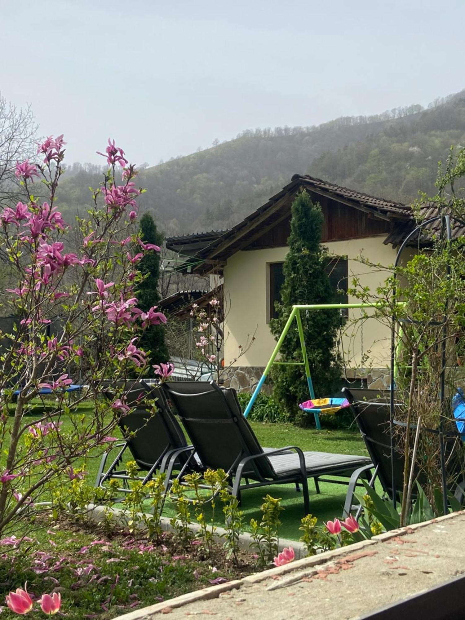 Cherni Osum Guest House Rest מראה חיצוני תמונה
